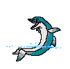 stupid dolphin's Avatar